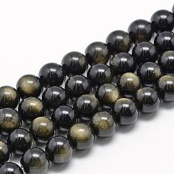 Natürliche goldenen Glanz Obsidian Perlen Stränge, Klasse A, Runde, 11~12 mm, Bohrung: 1 mm, ca. 32~35 Stk. / Strang, 15.7 Zoll
