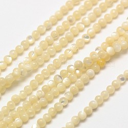 Perlas de cuentas redondas de concha, color natural, blanco cremoso, 2mm, agujero: 0.8 mm, aproximamente 184 pcs / cadena, 16 pulgada