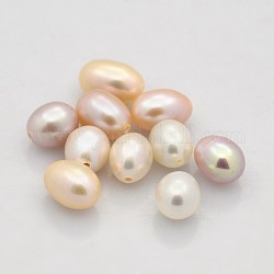 Natural Cultured Freshwater Pearl Beads, Half Drilled, Rice, Grade AAA, Mixed Color, 7~8x5~5.5mm, Half Hole: 1mm
