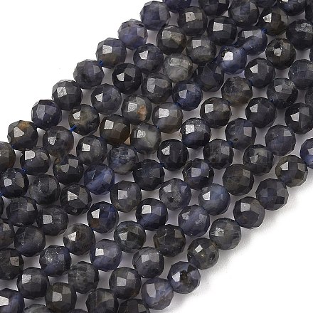 Naturperlen Stränge iolite G-J400-E05-02B-1