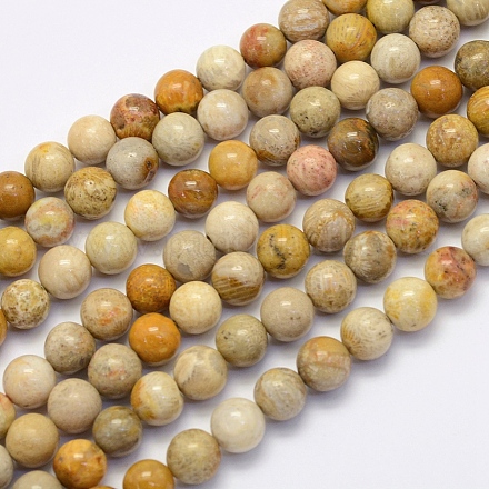 Fossiles naturelle perles de corail brins X-G-G697-F01-8mm-1