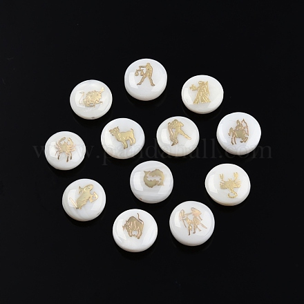 12 pièces 12 motifs perles de coquille d'eau douce naturelles SHEL-N003-32-1