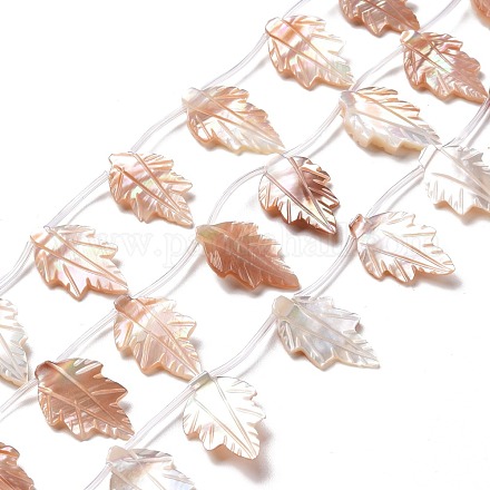 Brins de perles de coquille de mer naturelle thème automne SSHEL-G023-14-1
