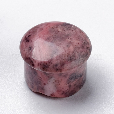 Natural Rhodonite Beads G-F677-23-1