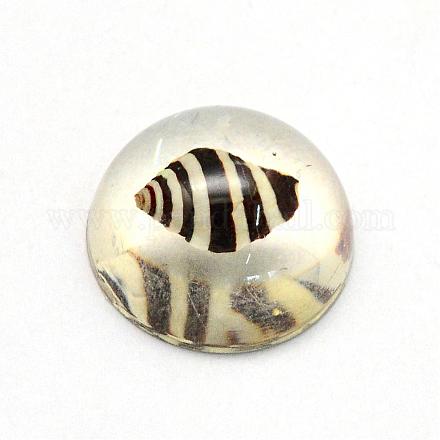 Resin Cabochons RESI-S320-20mm-21-1