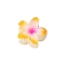 Plastic Claw Hair Clips, Hair Accessories for Women & Girls, Flower, Misty Rose, 40mm
