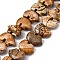 Natural Picture Jasper Beads Strands, Zuni Bear, 12~13x18.5~19.5x6~6.5mm, Hole: 1mm, about 28~33pcs/strand, 12.99~16.54 inch(33~42cm)