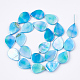 AB Color Freshwater Shell Beads Strands SHEL-S274-38B-2