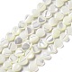 Fili di perle di conchiglia trochid naturale / trochus SHEL-F003-09-1