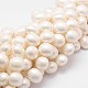 Chapelets de perles en coquille BSHE-L028-01-16x18-1