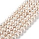 Natural Cultured Freshwater Pearl Beads Strands PEAR-L033-29-1