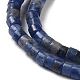 Natural Sodalite Beads Strands G-E612-A12-3