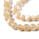 Fili di perle di conchiglia trochid naturale / trochus SSHEL-S266-023B-02-3