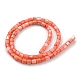 Natural Freshwater Shell Beads Strands SHEL-F008-04F-2