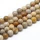 Natural Fossil Coral Beads Strands G-R446-8mm-28-1