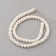 Natural Cultured Freshwater Pearl Beads Strands PEAR-G007-21-2