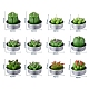 サボテンパラフィン無煙キャンドル  人工多肉植物装飾キャンドル  アルミ容器付き  家の装飾のための  グリーン  15.6x10.3x10.3cm  12個/セット DIY-G024-E-1
