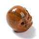 天然ムーアカイトビーズ  ハロウィンの頭蓋骨  11~11.5x8.5~9x11~11.5mm  穴：0.9~1mm G-C038-01Q-3