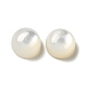 Cabuchones de conchas blancas naturales SSHEL-M022-01A-1