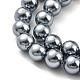 Brins de perles de coquillages naturels galvanisés SHEL-F008-03A-11-3
