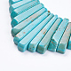 Natural Turquoise Graduated Beads Strands G-F647-03-2