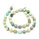 Chapelets de perles en turquoise naturelle G-O201B-66A-3