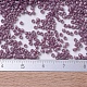 MIYUKI Delica Beads SEED-JP0008-DB0265-5