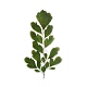 6 adesivo decorativo per piante autoadesive per animali domestici AJEW-Q146-01A-2