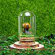 Glass Dome Cover with Natural Tiger Eye Mushroom Inside BOHO-PW0001-085G-1