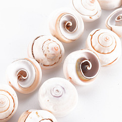 Hebras naturales del talón de la cáscara de la espiral, blanco antiguo, 15~18x8~15mm, agujero: 0.8 mm, aproximamente 11 pcs / cadena, 7.09 pulgada (18 cm)