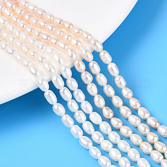 Hebras de perlas de agua dulce cultivadas naturales, arroz, grado ab, blanco cremoso, 4~6.5x3.5~4mm, agujero: 0.6 mm, aproximamente 72~76 pcs / cadena, 14.96~15.55 pulgada (38~39.5 cm)