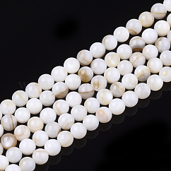 Abalorios de concha de agua dulce hebras, redondo, color de concha, 5mm, agujero: 0.6 mm, aproximamente 75~80 pcs / cadena, 14.96~15.75 pulgada