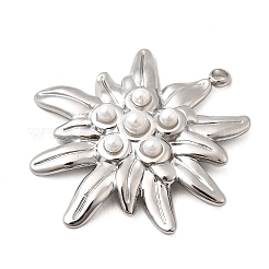 Pendentifs en acier inoxydable 304&nbsp;STAS-Z149-05B-P