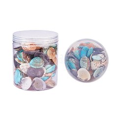 Gefärbte natürliche Muschelperlen&nbsp;BSHE-PH0003-02