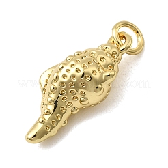Messing Anhänger & Charms&nbsp;KK-H092-03G