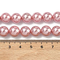 Perles de perles de coquille galvanoplastie&nbsp;BSHE-G041-10mm-05