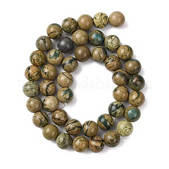 Hebras de cuentas de venas de dragón verde natural&nbsp;G-D098-A01-8mm