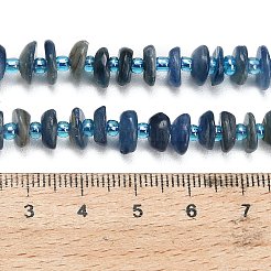 Natürliche kyanite Perlen Stränge&nbsp;G-Z124-A04-02