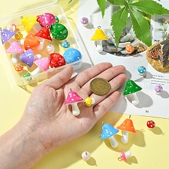 32 pièces 16 styles en plastique opaque avec pendentifs en résine&nbsp;FIND-YW0005-05