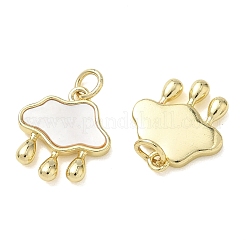 Messing Muschel Charms&nbsp;KK-T085-04G