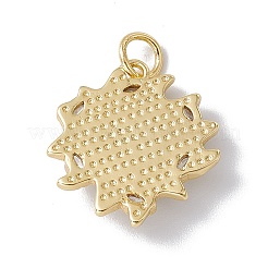Pendenti in zirconi cubici trasparenti in micro pavè di ottone&nbsp;KK-I692-01G-03