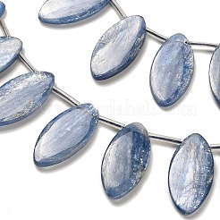 Natürliche kyanite Perlen Stränge&nbsp;G-H335-H01-12x15mm