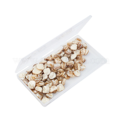 Shell perle naturali di acqua dolce&nbsp;SSHEL-CA0001-01