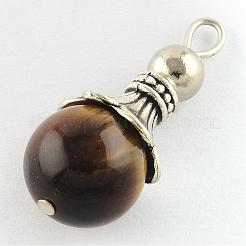 Pendentifs en œil de tigre naturel&nbsp;G-Q459-02L