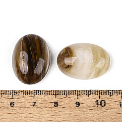 Gefärbte Tigerglas Cabochons&nbsp;G-T144-77