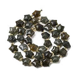 Natur Labradorit Perlen Stränge&nbsp;G-Z080-A33-10mm