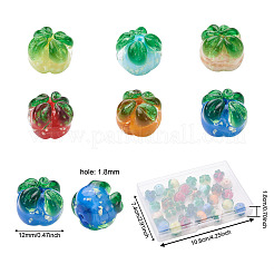30pcs 6 Farben handgemachte Bunte Malerei-Perlen&nbsp;LAMP-CD0001-12