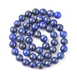 Natürlicher Lapislazuli Perlenstränge&nbsp;X-G-G099-8mm-7