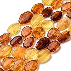 Farbverlauf Naturbernstein Perlenstränge&nbsp;G-F803-E01-01