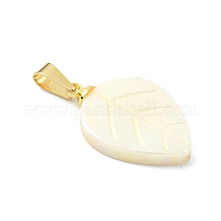 Pendentifs sculptés en coquille d'eau douce naturelle&nbsp;PALLOY-JF05288-01
